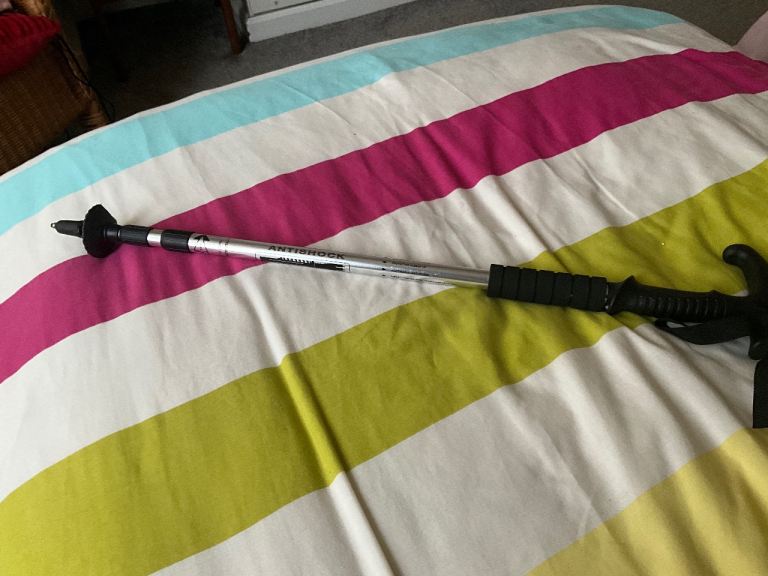 image for Walking pole