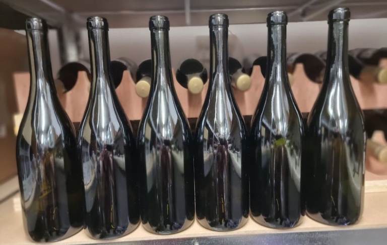 6 Champagne/ Sparkling Wine bottles