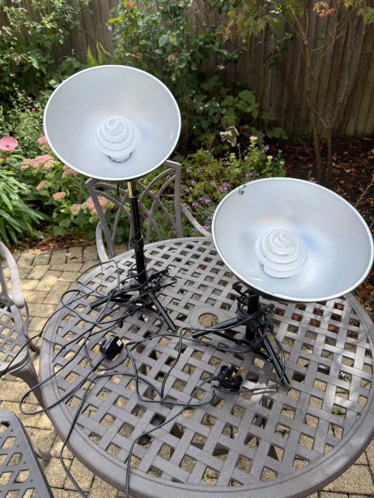 Pair of Photography Studio Lights with Stands and Bulbs