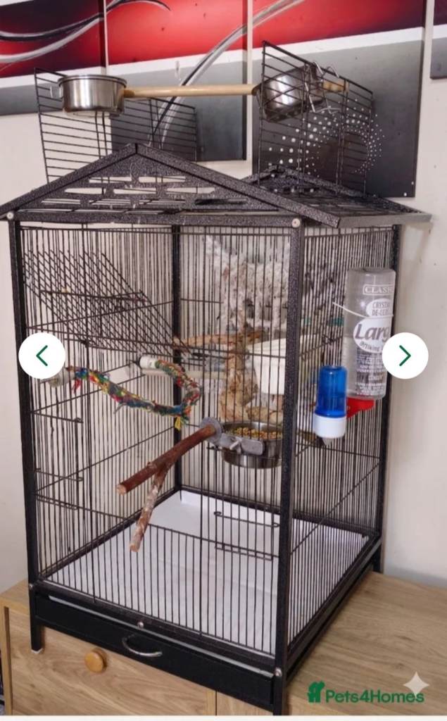 Brid Cage Parrot Cage