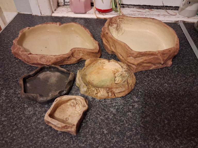 Reptile Bowls and Hides