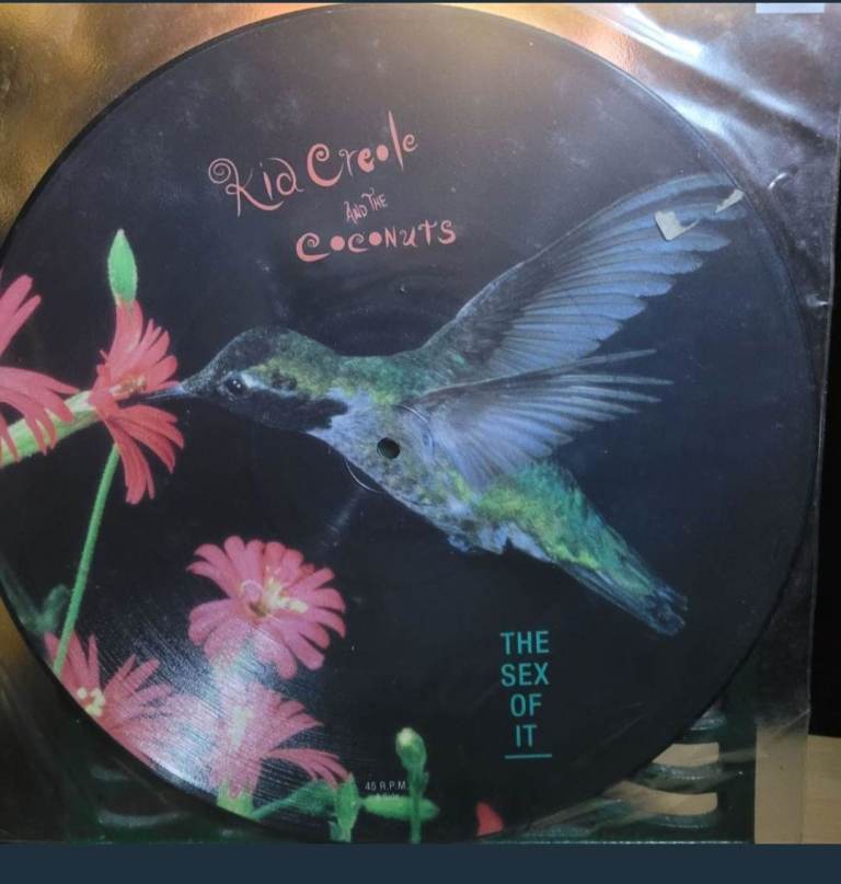 Kid Creole And The Coconuts The Sex Of It 12” Picture Disc vinyl /Record r1/1