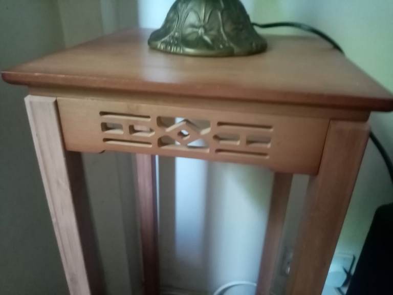 Tall plant/lamp table 