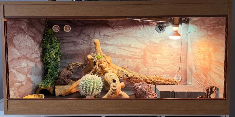 4ft x 2ft x 2ft Vivarium