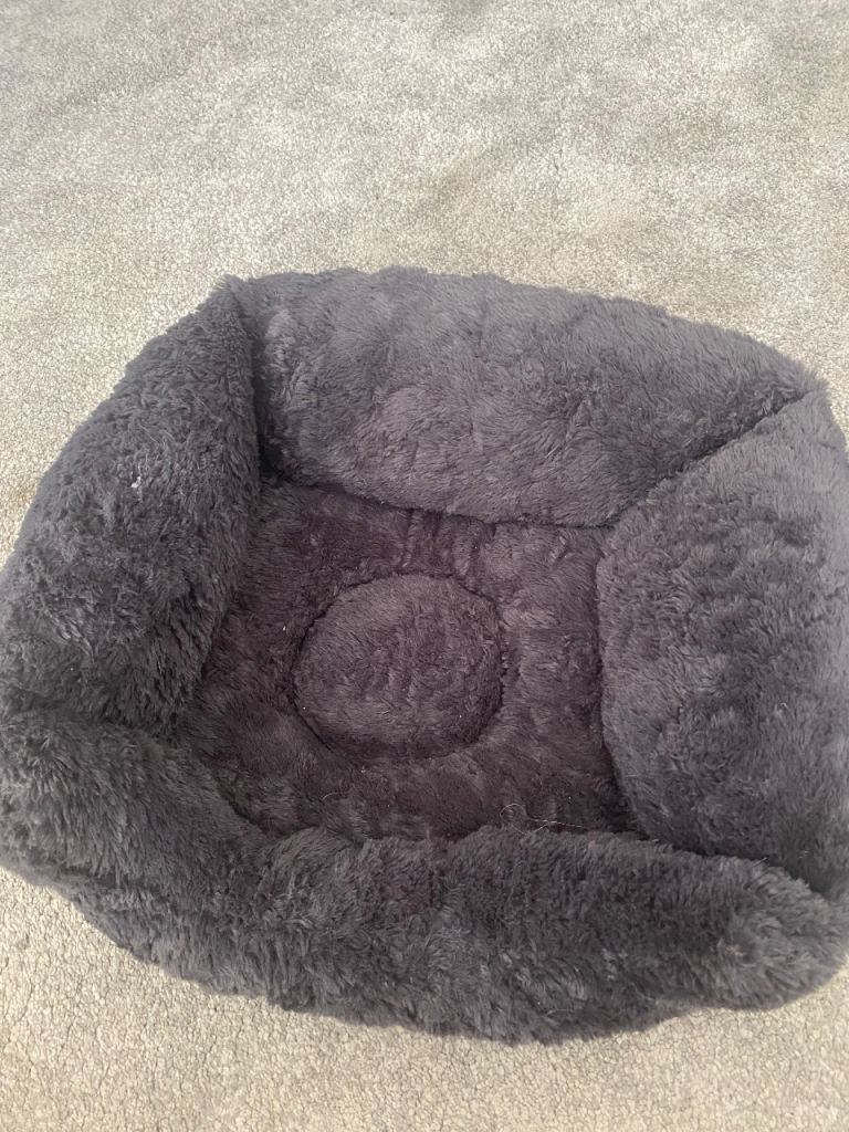 Cat bed