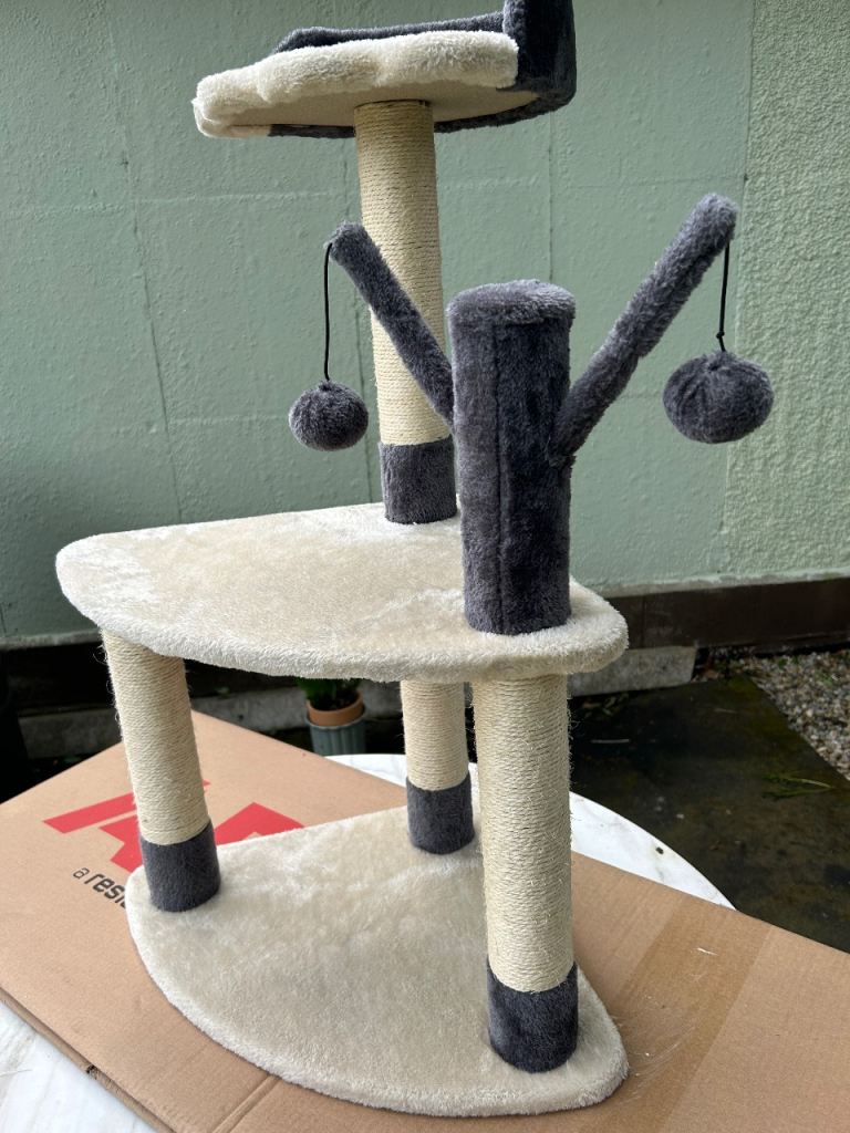Cat scratch/activity post