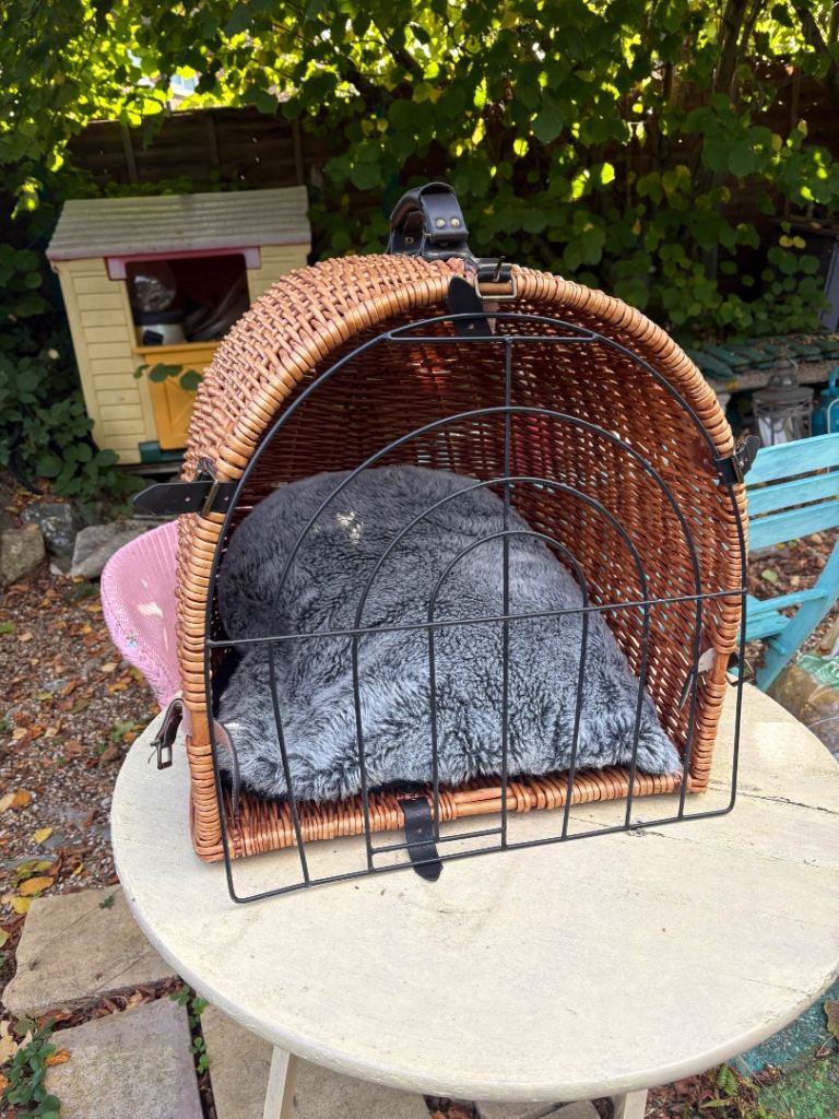 Dog basket