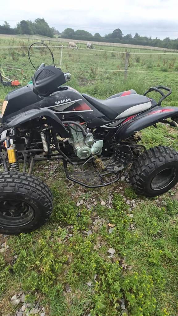 Bashan 250cc quadbike read description 