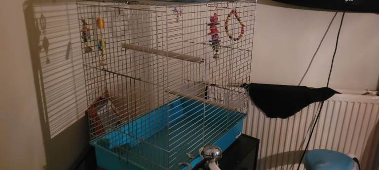 Large bird cage