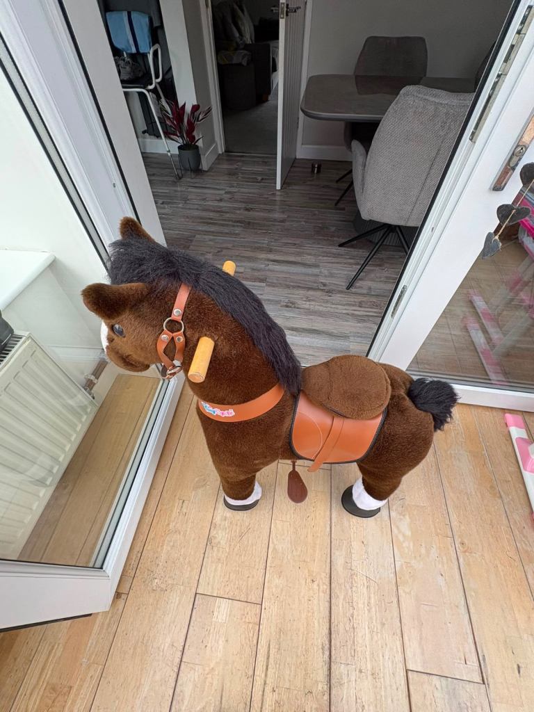 kids ride on horse