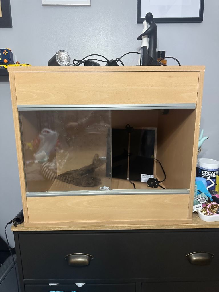 Vivexotic tank
