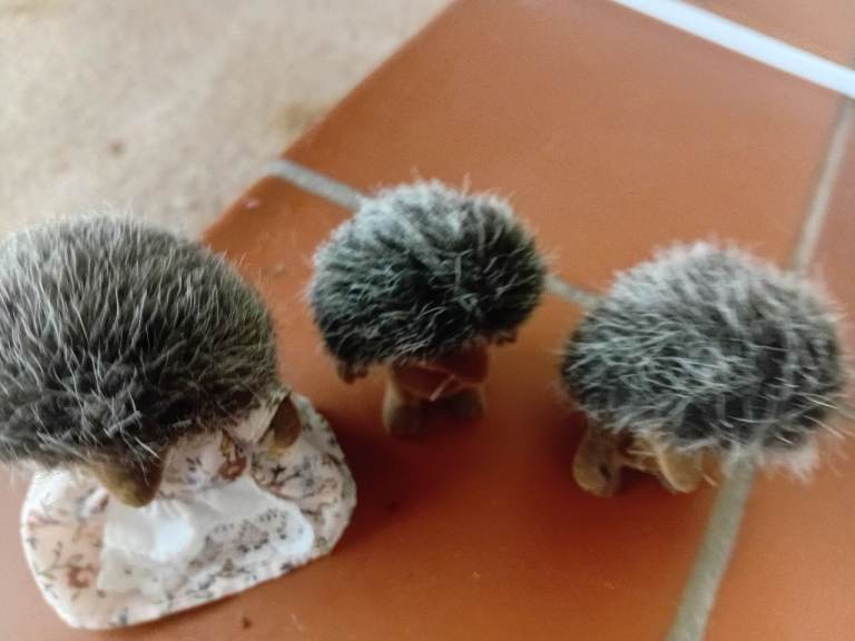 3 x Sylvanian Families Bramble Hedgehog Mum + 2 Children Loose Figures"  
