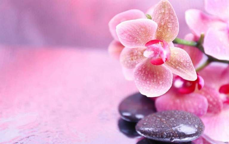 Best Full Body Indian Massage - Special offers discounts available today
