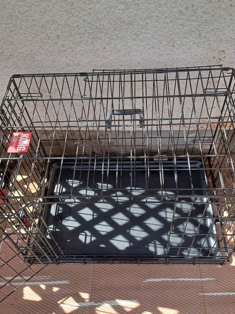 Kong Dog Crate