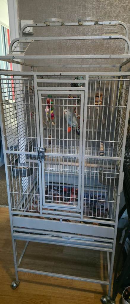 Bird cage on wheeels and has play stand