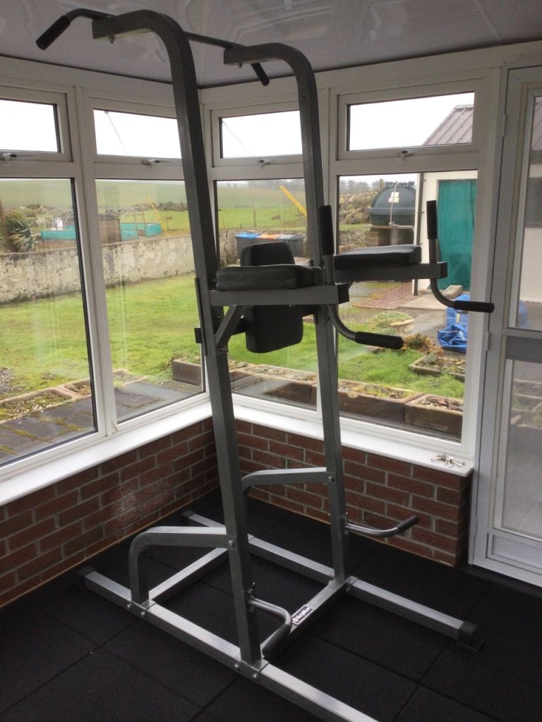 BodyMax Deluxe Power Tower