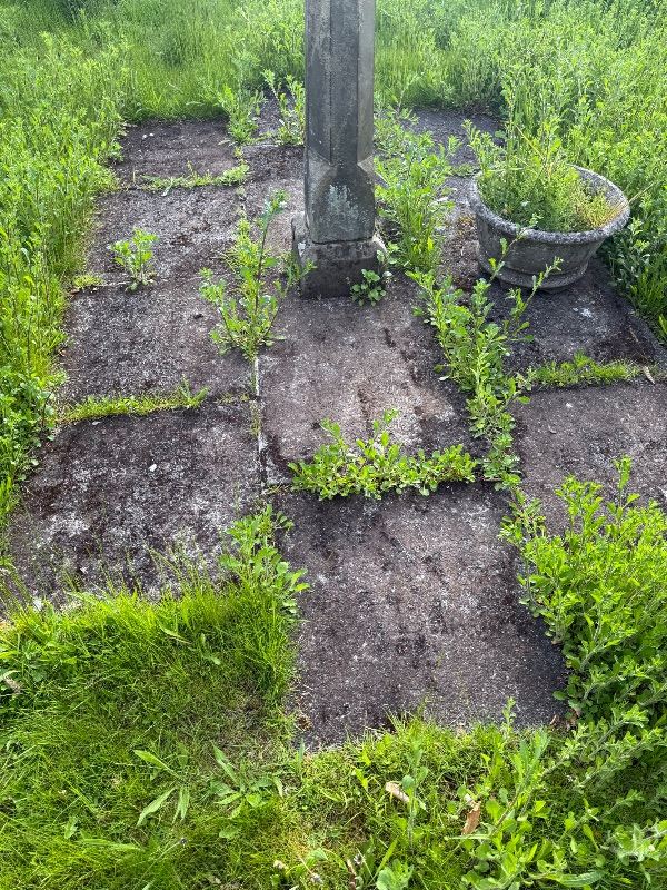 Slabs to be lifted up 