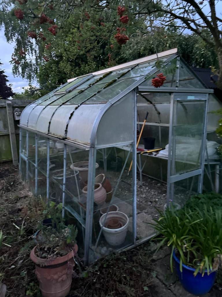 Greenhouse 10ft6 x 8ft