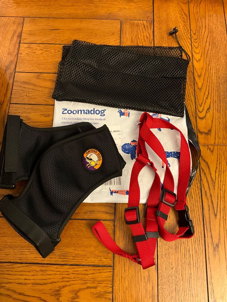 Orthodog Hip Brace and Harness size Medium for Dysplasia and other hip problems