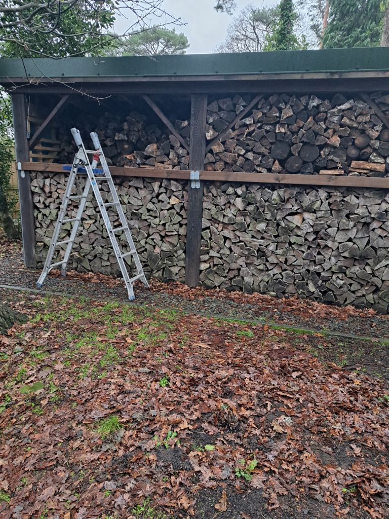 Seasoned Logs for wood burner