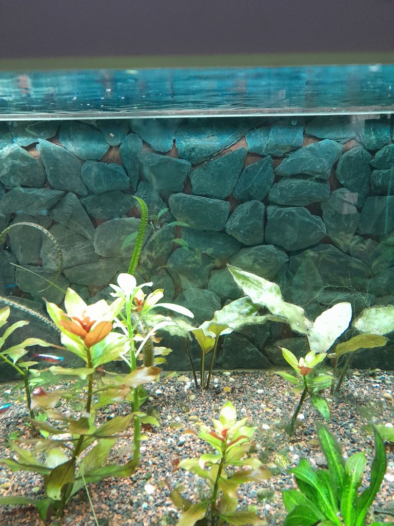 Fish tank with stand