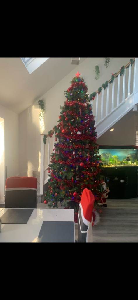 10 Foot Christmas / Xmas Tree with storage bag