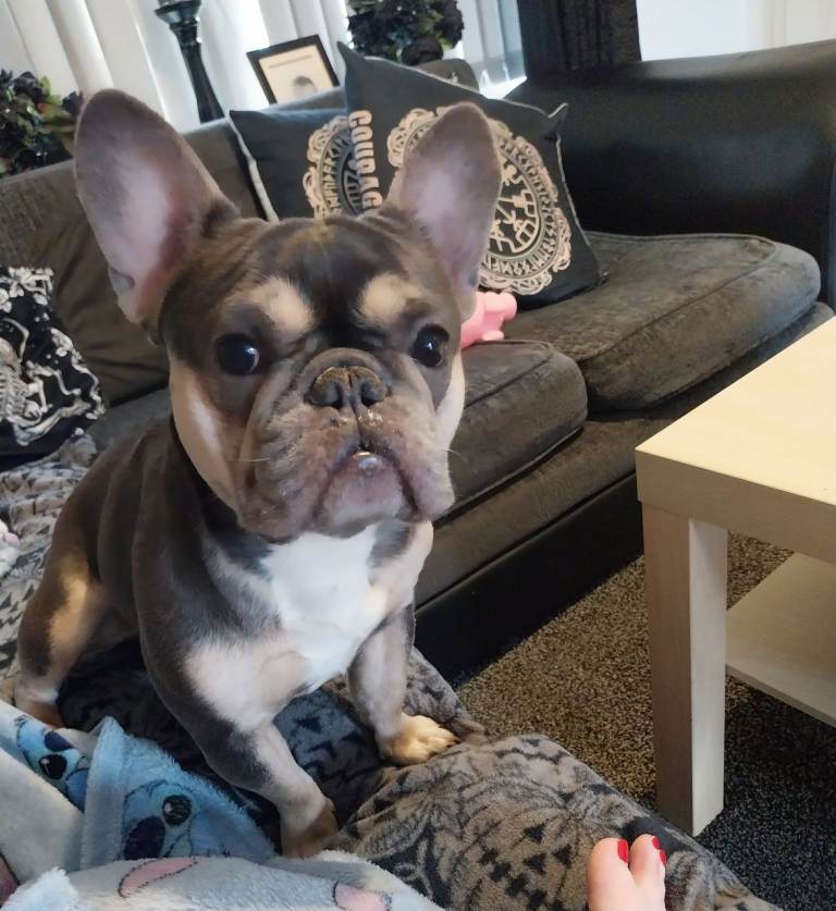 A loving home for my girl