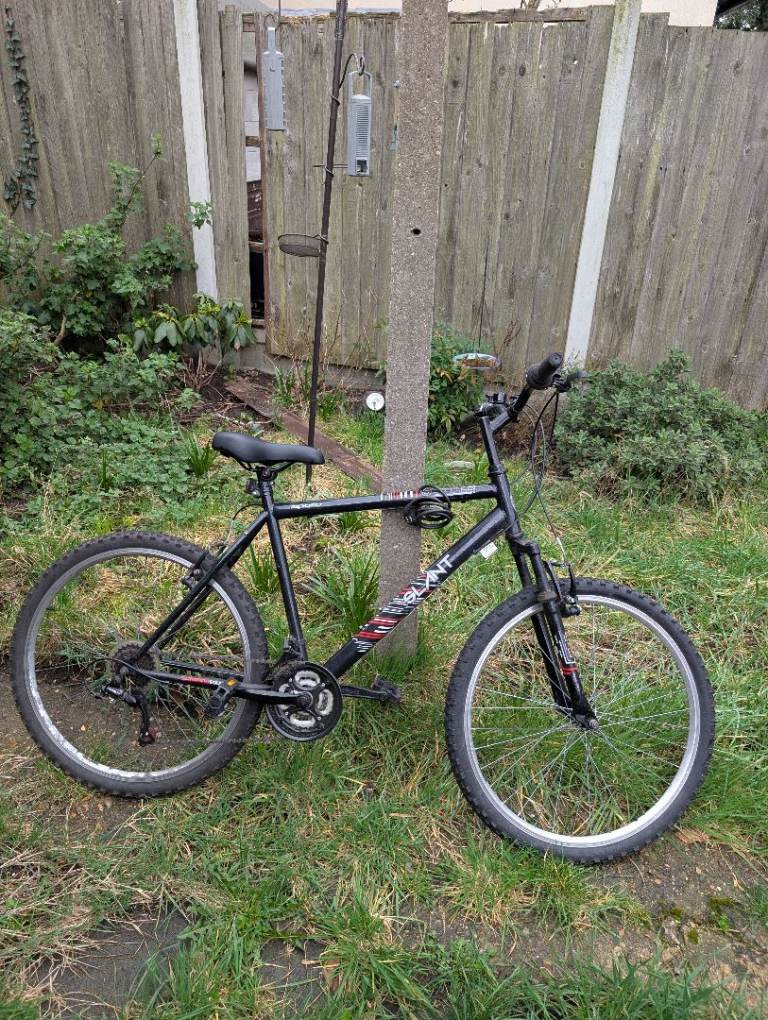 2x adult bikes with accessories