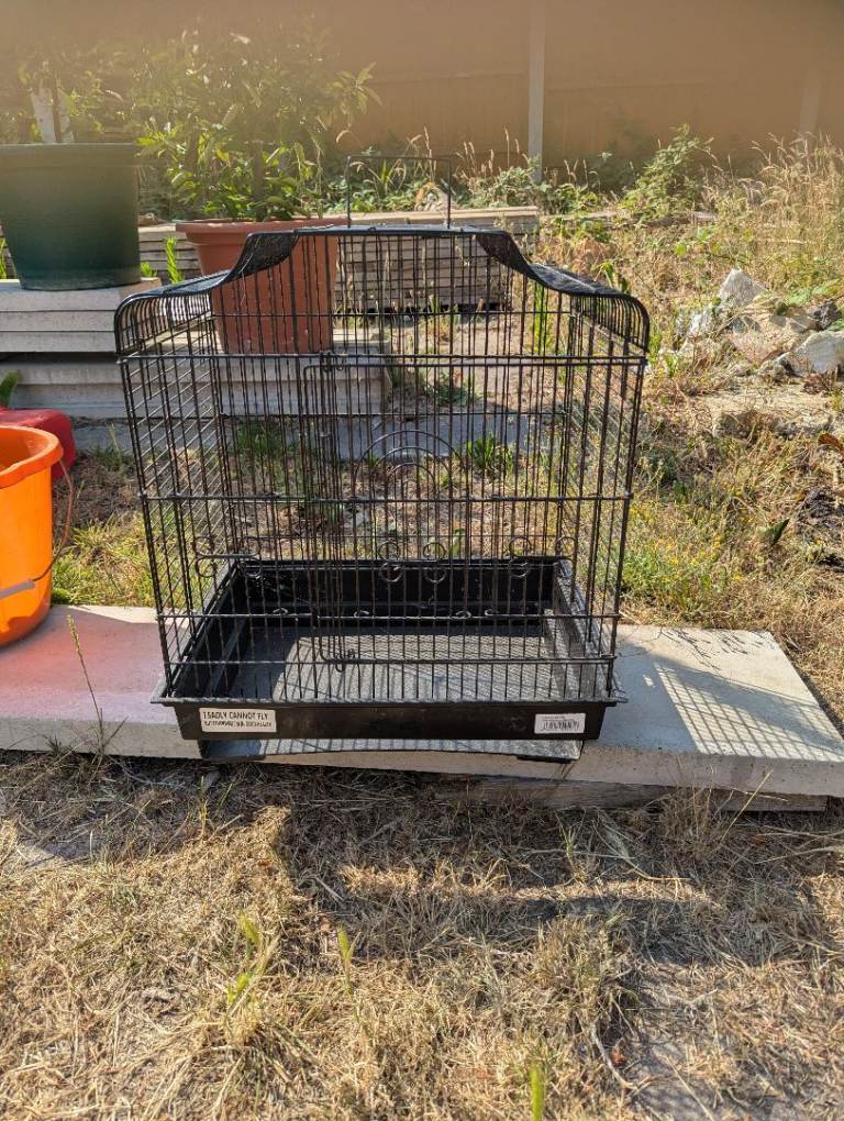 Small bird cage