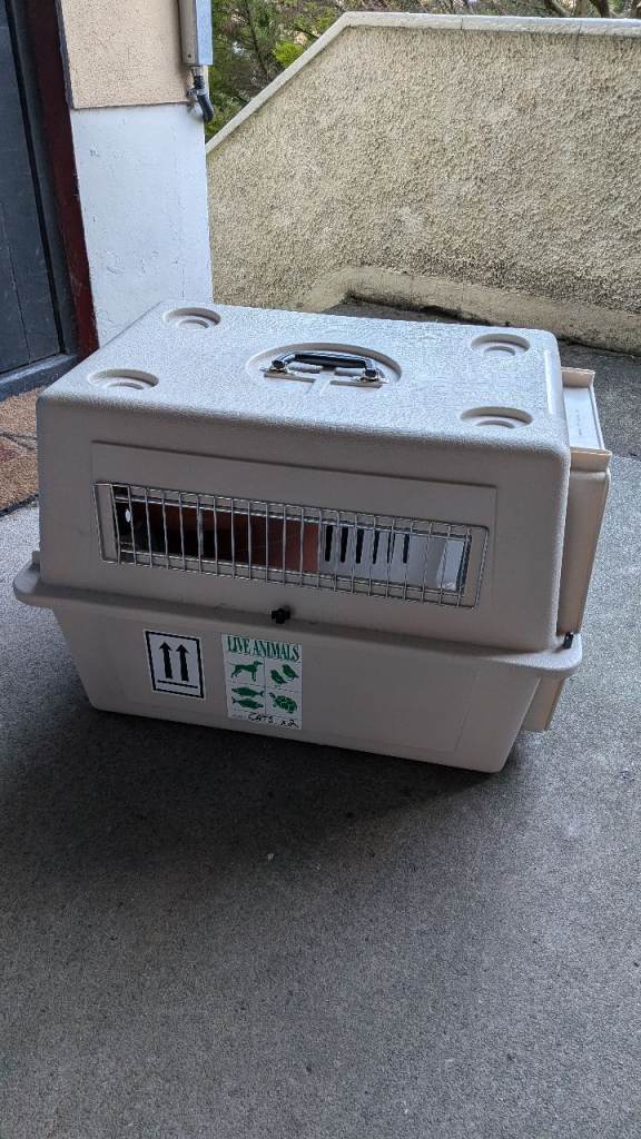 Free pet carrier 