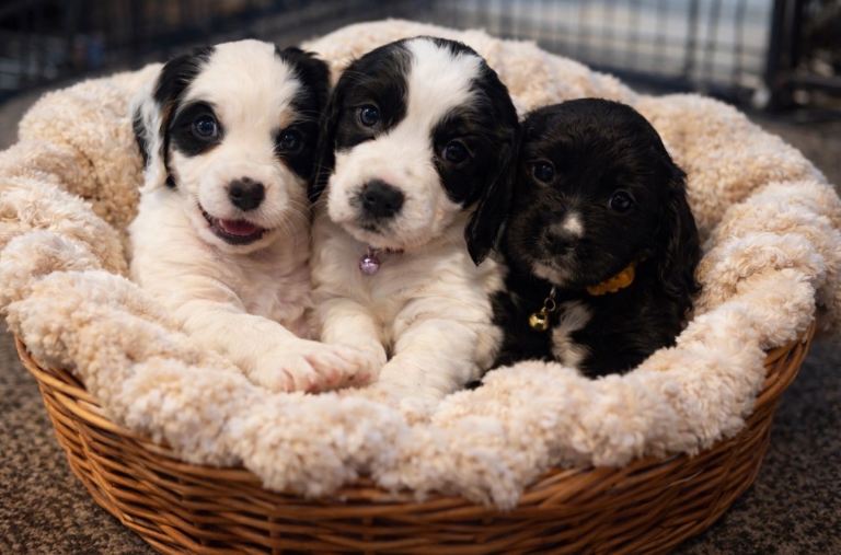 Last girl ready to leave 