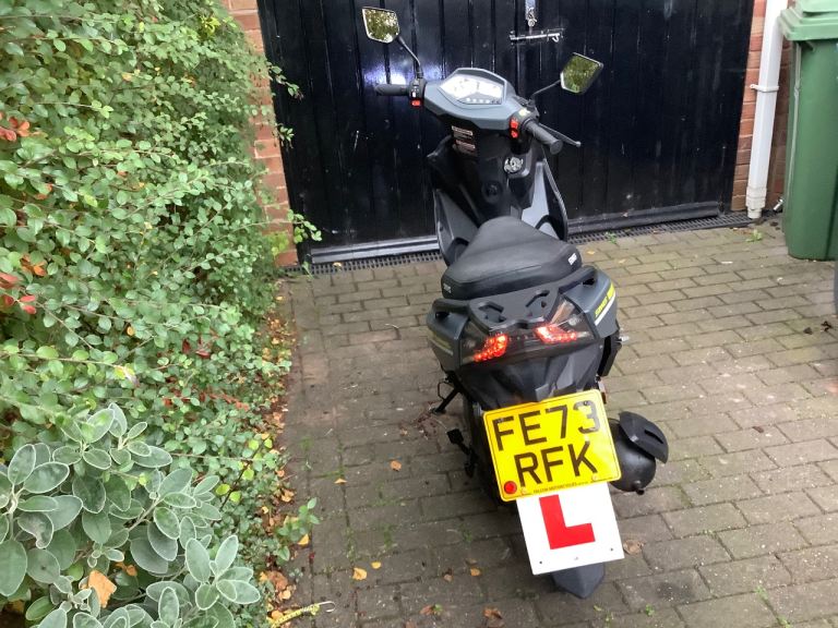 Sinnis, TWIST, 2023, 50 (cc)