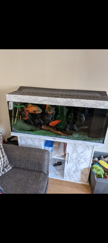 240ltr Juwel fish tank 