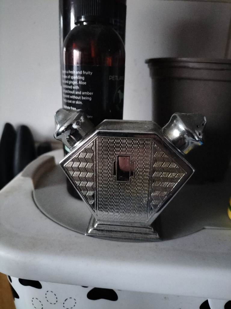 Collectable salt & pepper shaker 