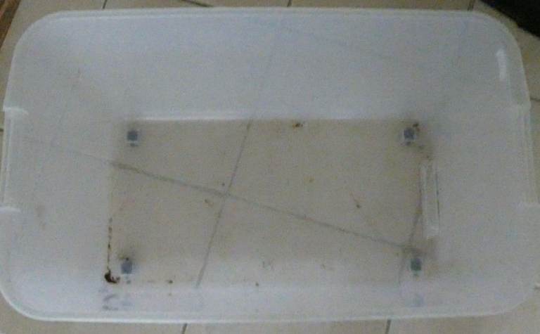 Plastic Storage Containers