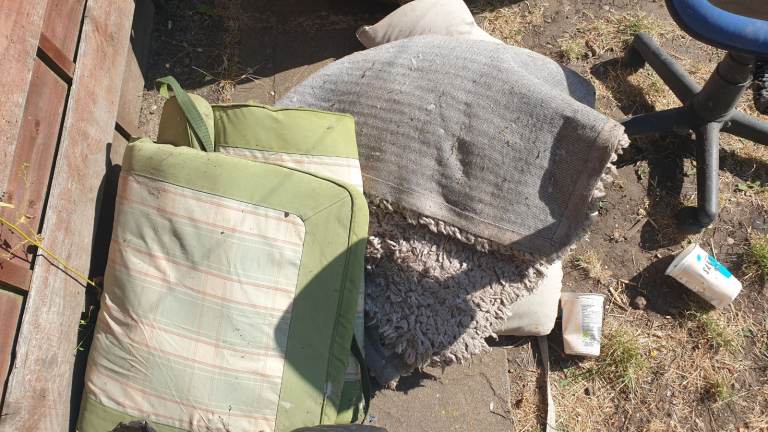 Free Rug and Mattresses