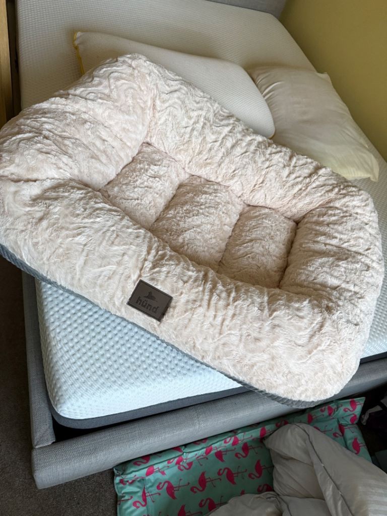 Brand new dog bed 