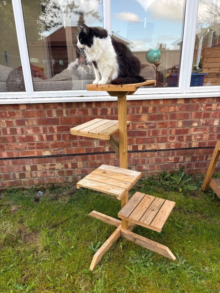 Cat tree