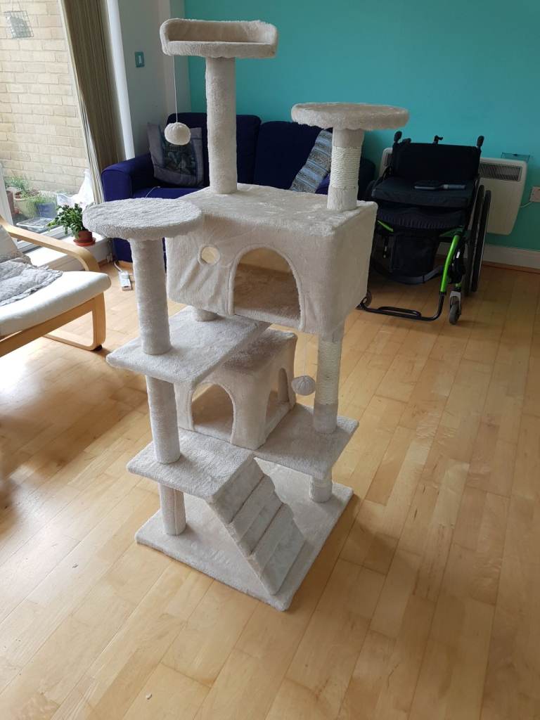 Free cat tree 