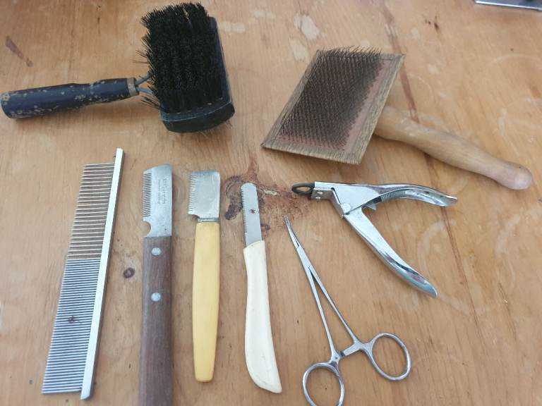 Dog tools and books