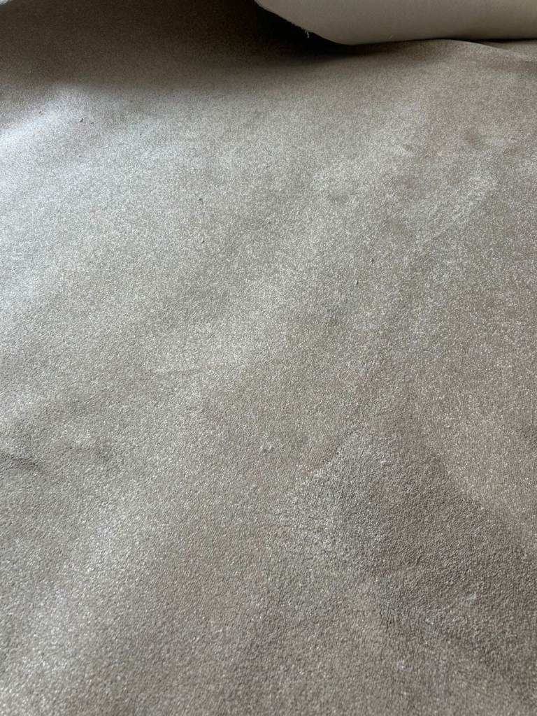 NEW!! Carpet!! NEW!!