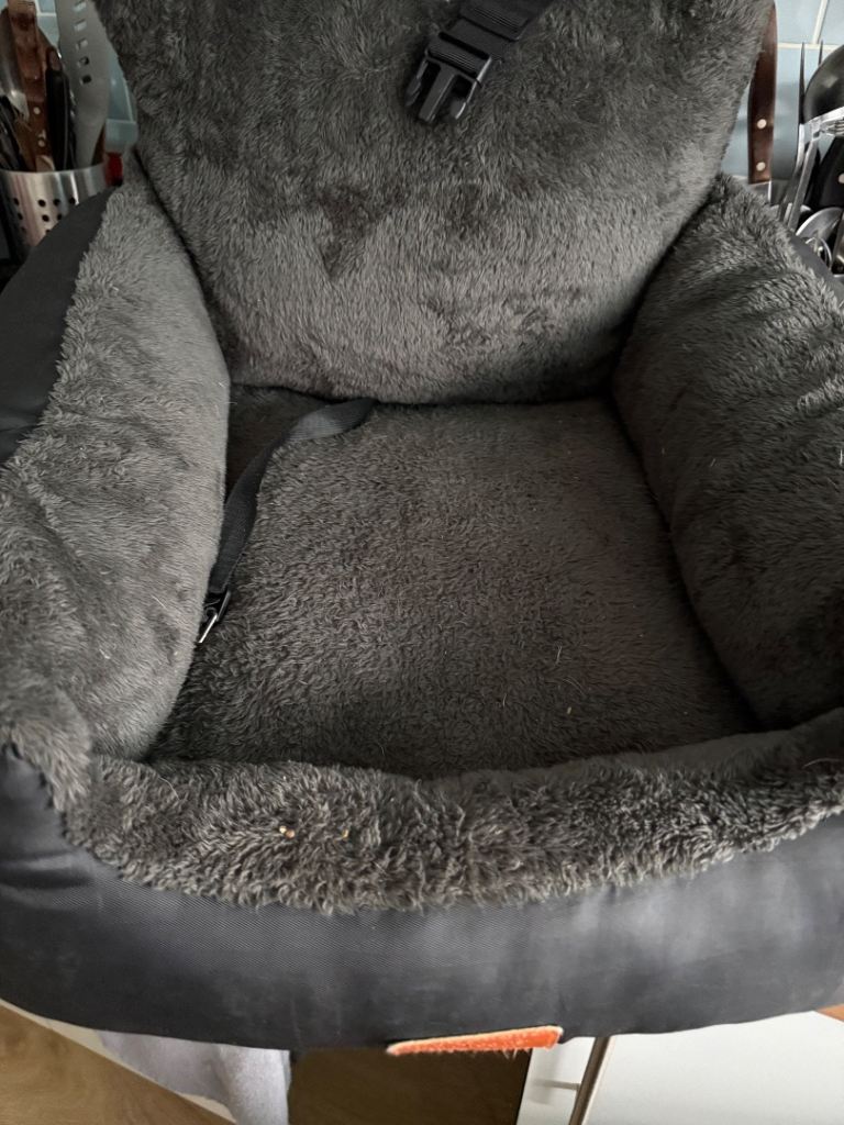 Dog Car Seat 