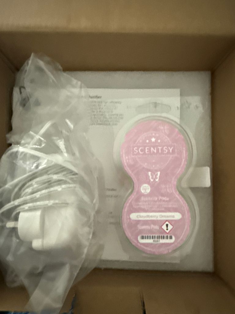 Scentsy Air Purifier 