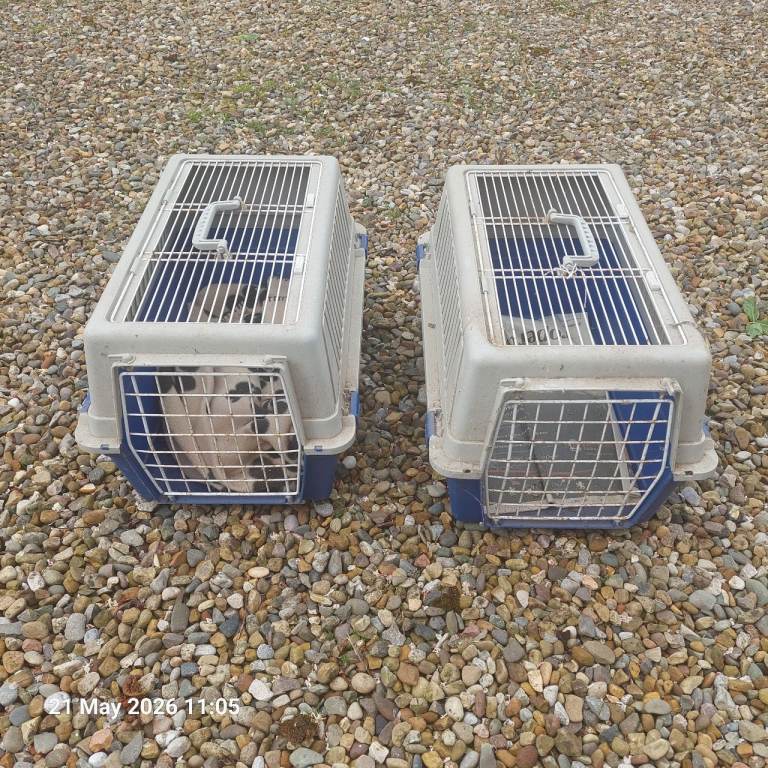  cat baskets