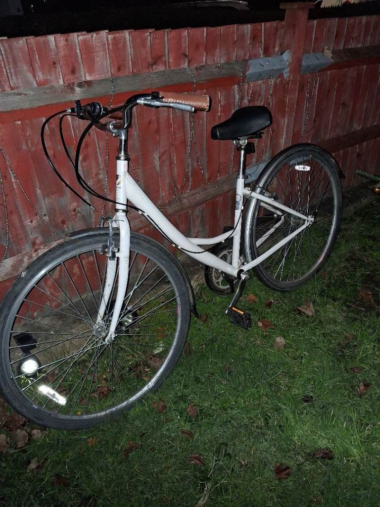 Ladies Adult viking bike