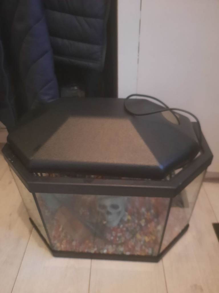 35lre Haxogen shape fish tank with lid filter accessories 