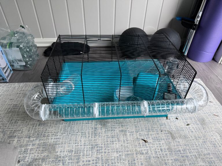 Hamster cage and accessories
