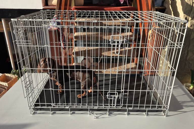 Medium large dog cage