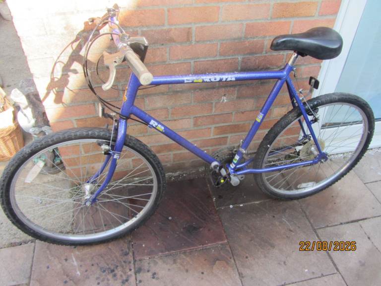 mens and ladies bikes for sale all in very good condition £45 each 