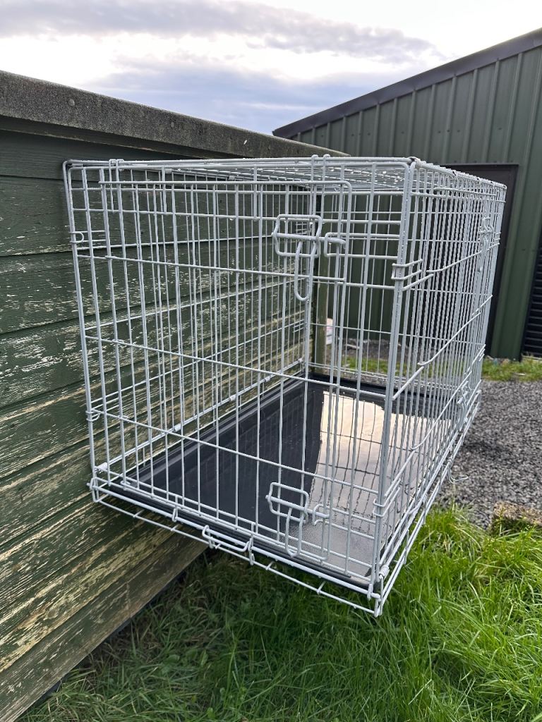 Large dog cage 3ft L 2ft H 22inch D   With 2 doors 